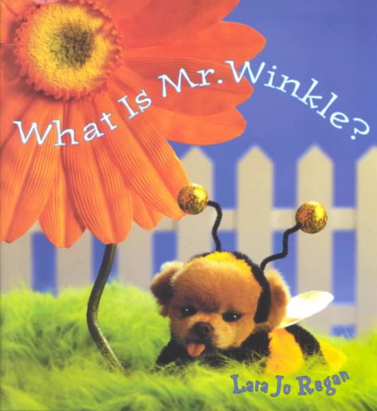 What Is Mr. Winkle? cover