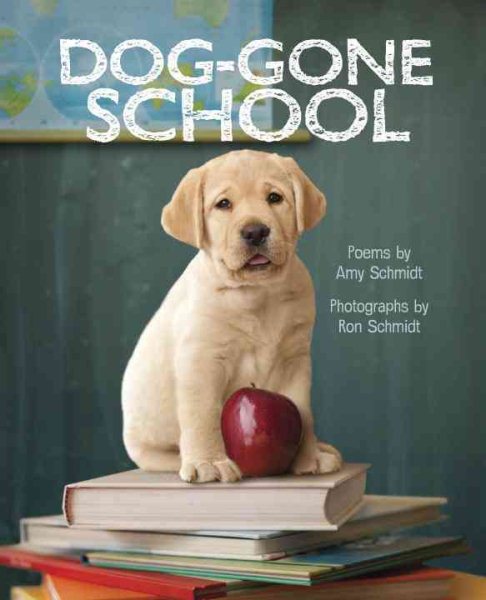 Dog-Gone School cover