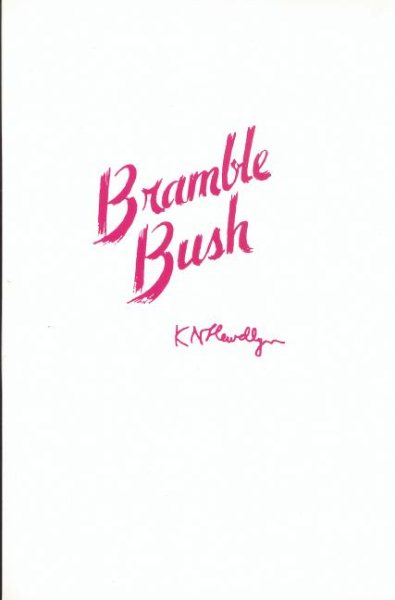 Bramble Bush: On Our Law and Its Study cover