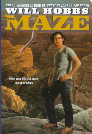The Maze cover