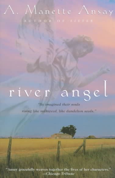 River Angel: A Novel cover