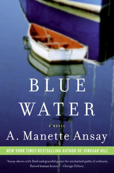 Blue Water: A Novel cover
