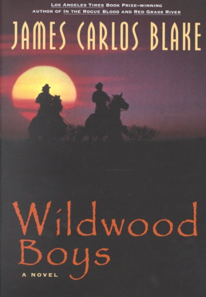 Wildwood Boys: A Novel cover