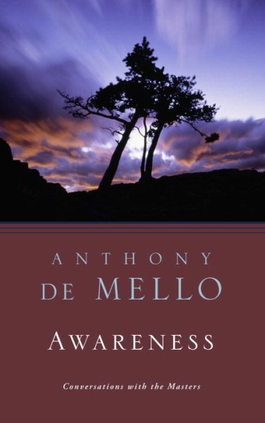 Awareness: The Perils and Opportunities of Reality cover