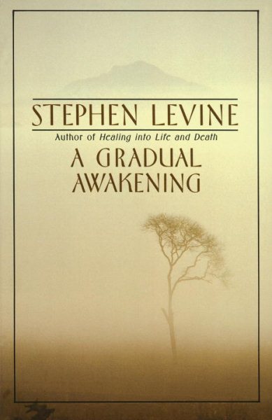 A Gradual Awakening cover