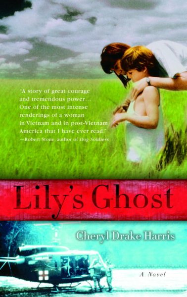 Lily's Ghost: A Novel cover