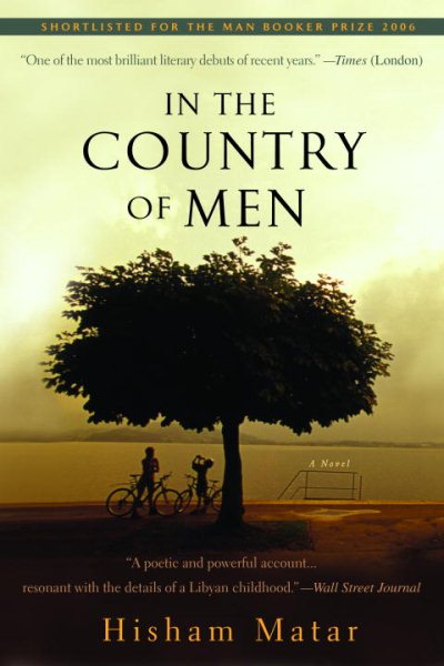 In the Country of Men: A Novel cover