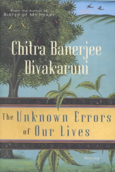 The Unknown Errors of Our Lives cover