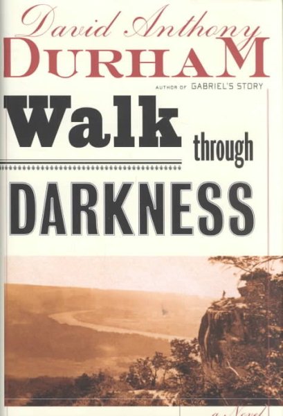A Walk Through Darkness: A Novel cover