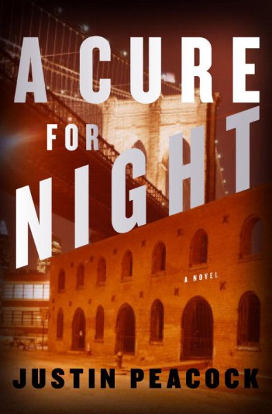 A Cure for Night: A Novel cover