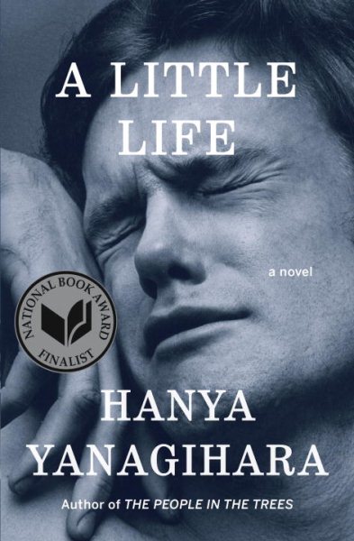 A Little Life: A Novel cover