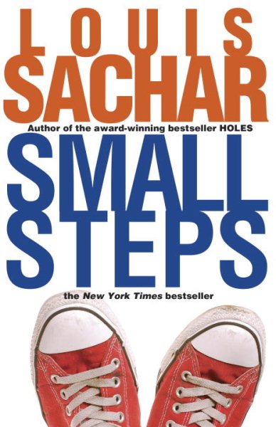 Small Steps (Holes Series) cover