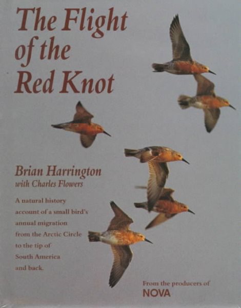 The Flight of the Red Knot: A Natural History Account of a Small Bird's Annual Migration from the Arctic Circle to the Tip of South America and Back cover