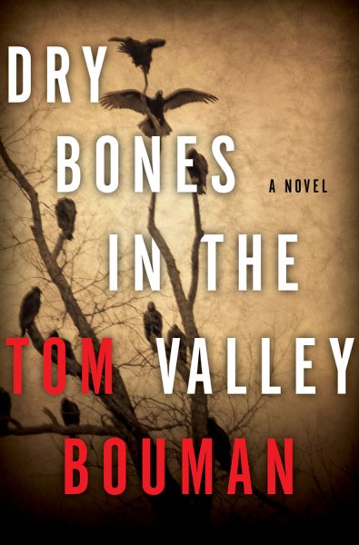 Dry Bones in the Valley: A Novel (The Henry Farrell Series, 1) cover