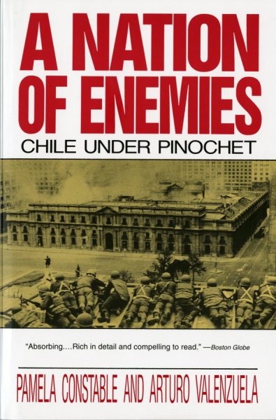 A Nation of Enemies: Chile Under Pinochet (Norton Paperback) cover