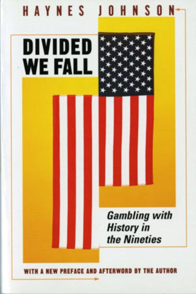 Divided We Fall: Gambling with History in the Nineties cover