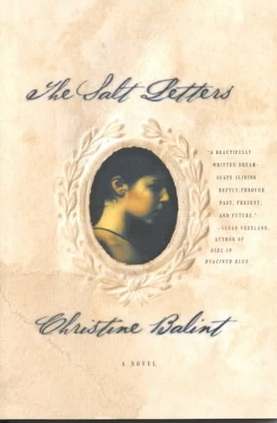 The Salt Letters: A Novel cover