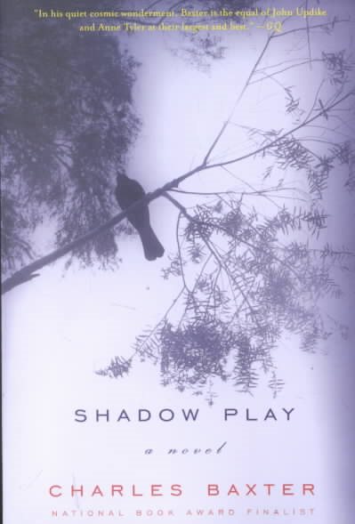 Shadow Play: A Novel (Norton Paperback) cover