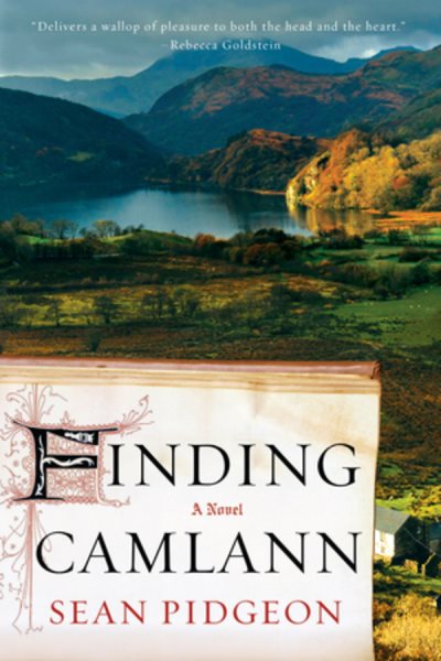 Finding Camlann: A Novel cover