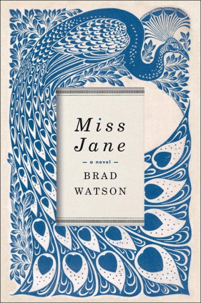 Miss Jane: A Novel cover