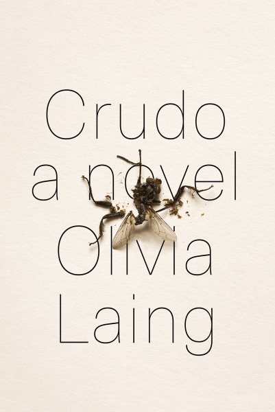 Crudo: A Novel cover