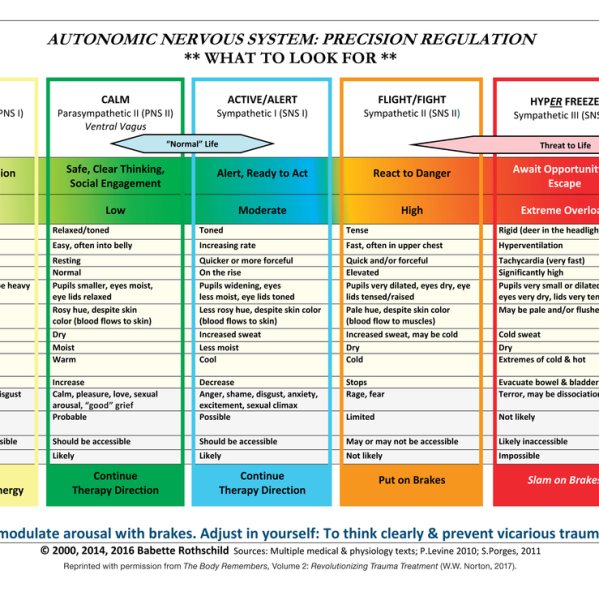 Autonomic Nervous System Table: Laminated Card cover