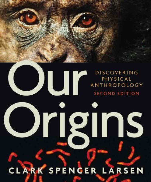 Our Origins: Discovering Physical Anthropology (Second Edition) cover