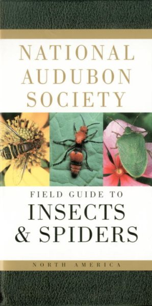 National Audubon Society Field Guide to Insects and Spiders: North America (National Audubon Society Field Guides) cover