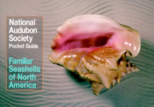 National Audubon Society Pocket Guide to Familiar Seashells (Audubon Society Pocket Guides) cover