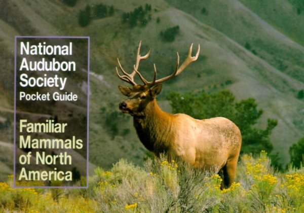 National Audubon Society Pocket Guide to Familiar Mammals (National Audubon Society Pocket Guides) cover