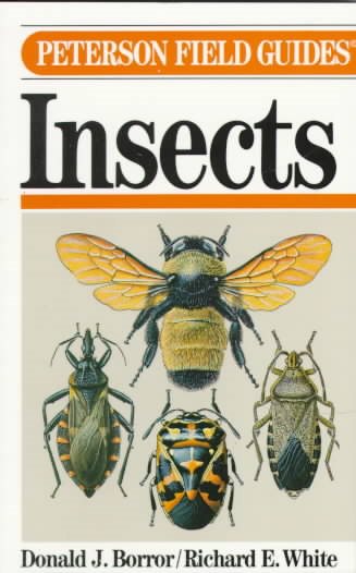 A Field Guide to Insects of America North of Mexico (Peterson Field Guide Series, No. 19) cover