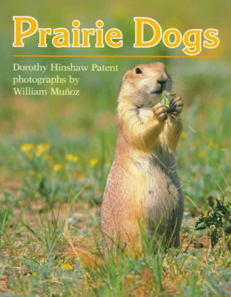 Prairie Dogs (Clarion Nonfiction) cover