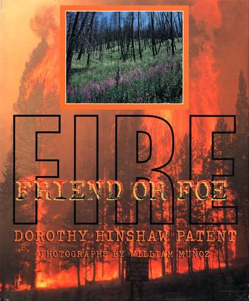 Fire: Friend or Foe cover