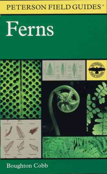 A Field Guide to Ferns: And Their Related Families : Northeastern and Central North America (Peterson Field Guides) cover