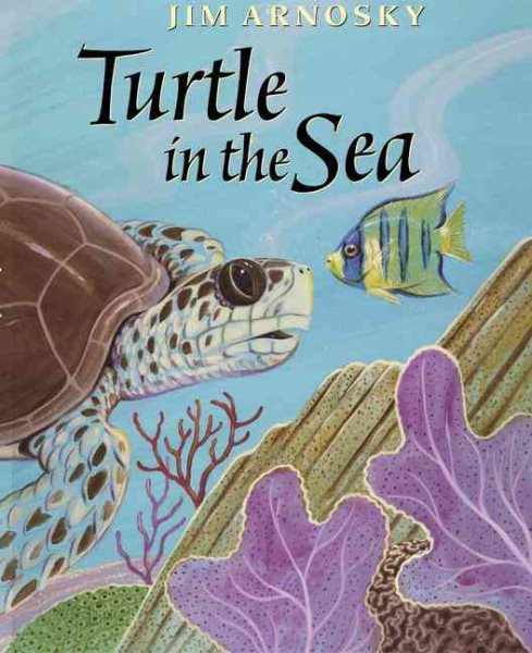 Turtle in the Sea cover