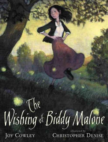 The Wishing of Biddy Malone cover