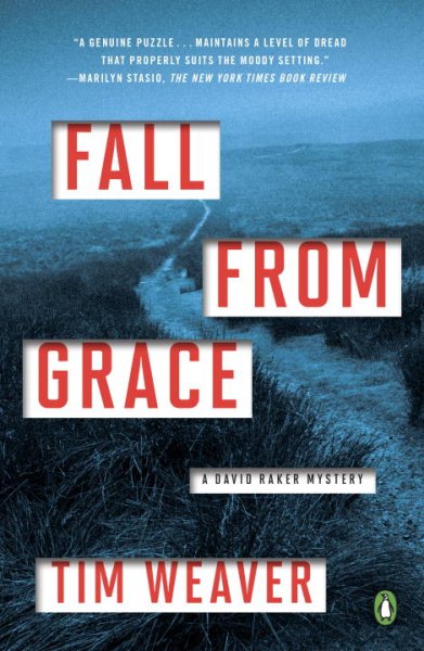 Fall from Grace: A David Raker Mystery cover