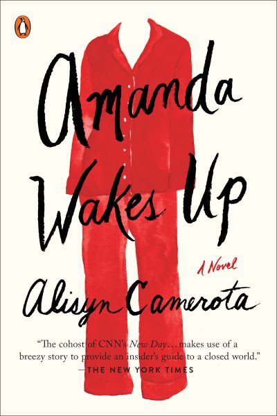 Amanda Wakes Up: A Novel