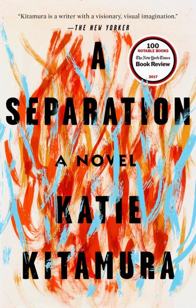 A Separation: A Novel cover