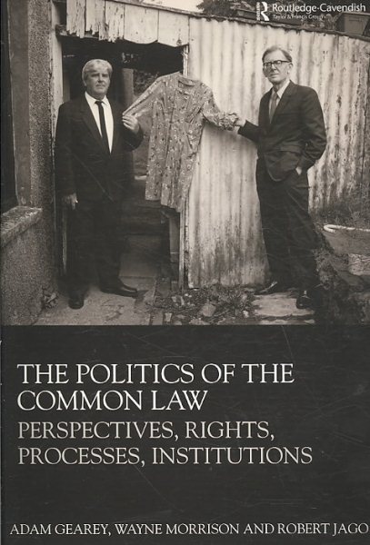 The Politics of the Common Law: Perspectives, Rights, Processes, Institutions cover