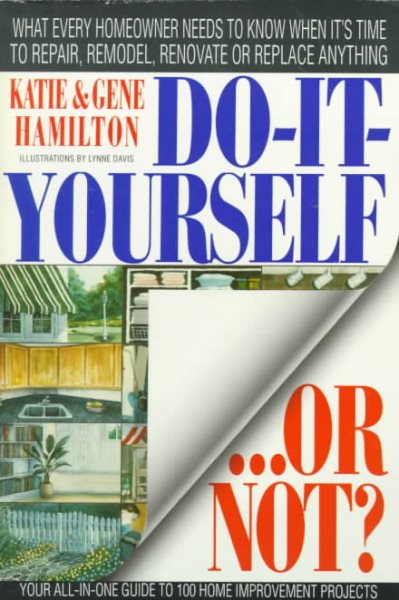 Do-it-Yourself...Or Not? cover