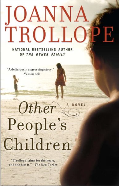Other People's Children: A Novel cover