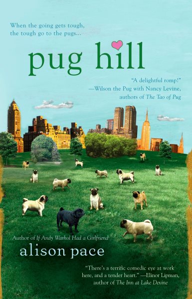 Pug Hill cover