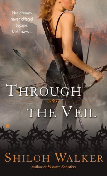 Through the Veil (A Veil Novel) cover