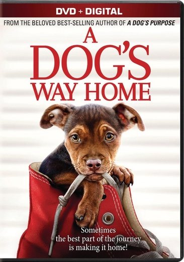 A Dog's Way Home [DVD] cover