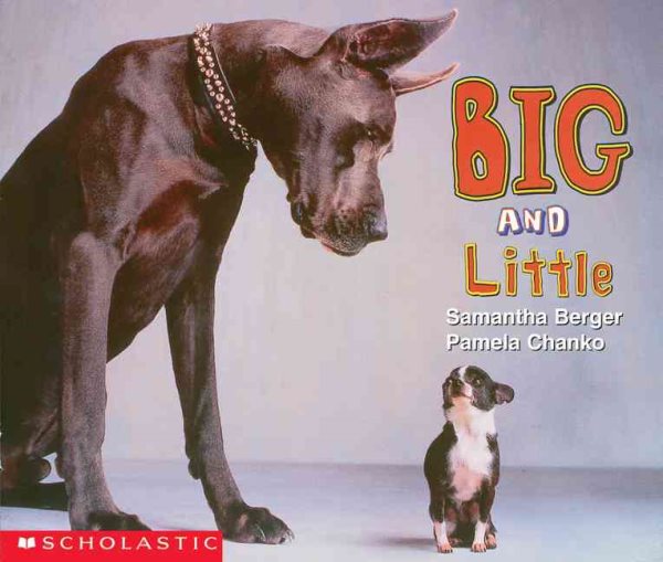 Big and Little (Learning Center Emergent Readers) cover
