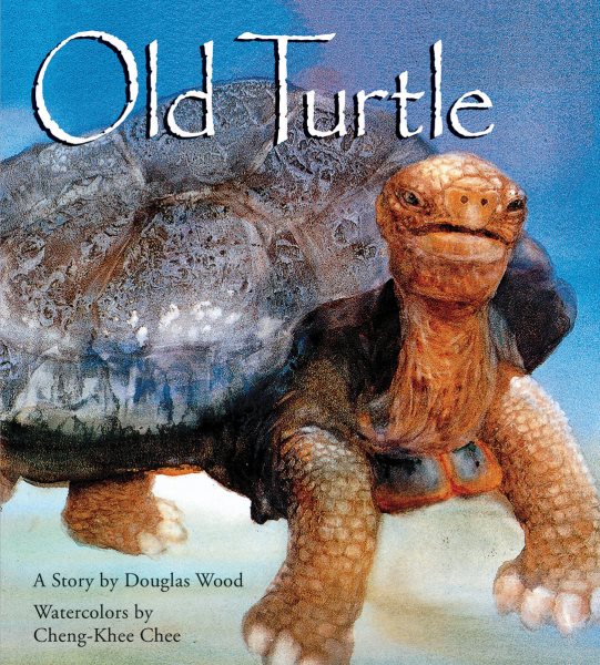 Old Turtle (Lessons of Old Turtle) cover