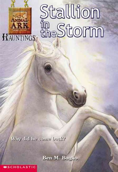 Stallion in the Storm (Animal Ark Hauntings #1) cover