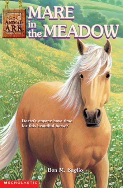 Mare in the Meadow (Animal Ark Series #31) cover