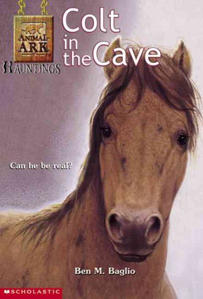Colt in the Cave (Animal Ark Hauntings, #4) cover